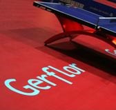 Спортивное покрытие GERFLOR Франция