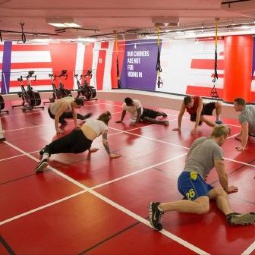 Спортивные покрытия Фитнес Спорт ЭКО