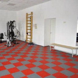 Спортивные покрытия для фитнес-зала