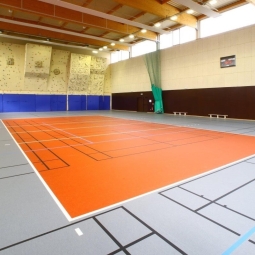 DLV Flooring Спортивные покрытия