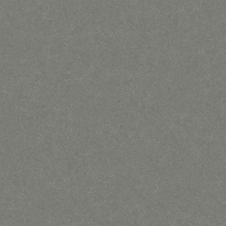 Линолеум DIAMOND TECH SILVER KNIGHT 455_857