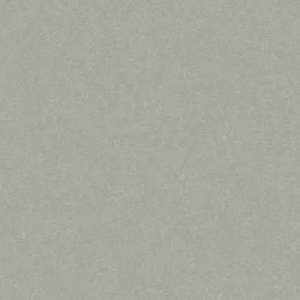 Линолеум DIAMOND TECH SILVER KNIGHT 455_856