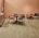 SURESTEP WOOD 18942 natural oak Линолеум Сурстеп ВУД