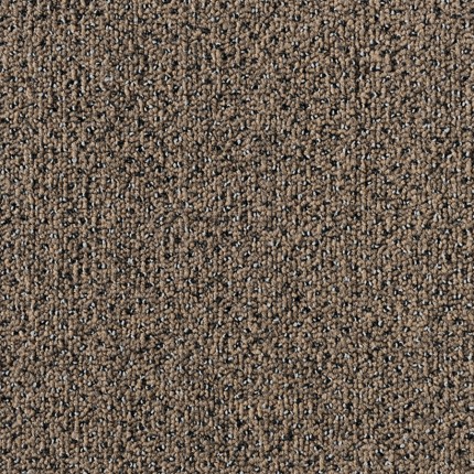 Tecsom 3620 POINTE 00064 Ковровая плитка Тексом Поинт