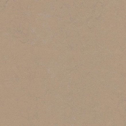 Marmoleum Concrete 3727 drift мармолеум Конкрит