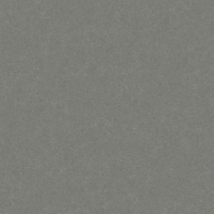 Линолеум Acoustic 7 455-857 Silver Knight 