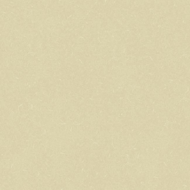 Линолеум Acoustic 7 455-881 Silver Knight Линолеум Acoustic 7 455-881 Silver Knight