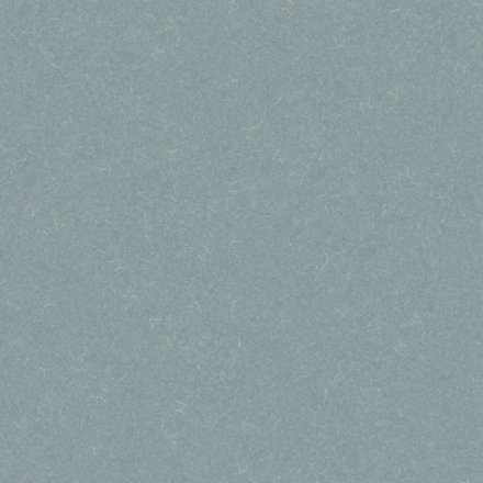 Линолеум Acoustic 7 455-858 Silver Knight 