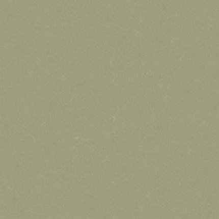 Линолеум Acoustic 7 455-863 Silver Knight