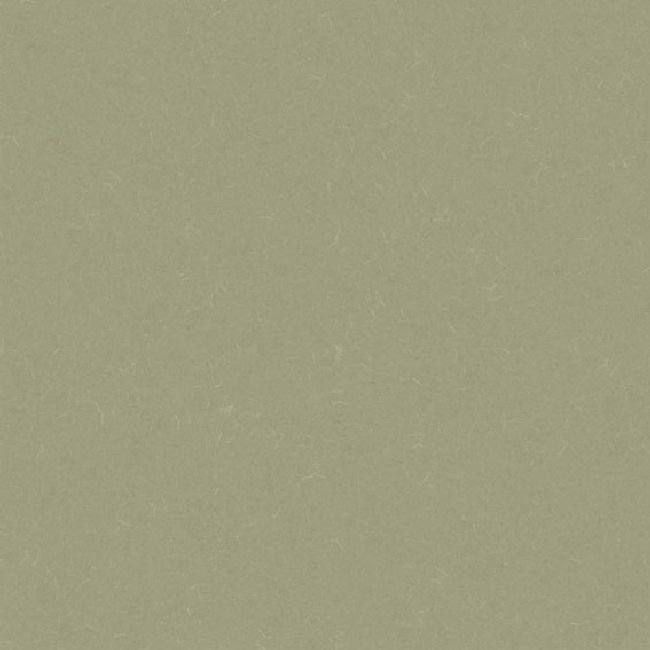 Линолеум Acoustic 7 455-863 Silver Knight 
