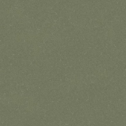 Линолеум Acoustic 7 455-864 Silver Knight