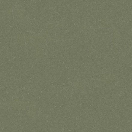 Линолеум Acoustic 7 455-864 Silver Knight 