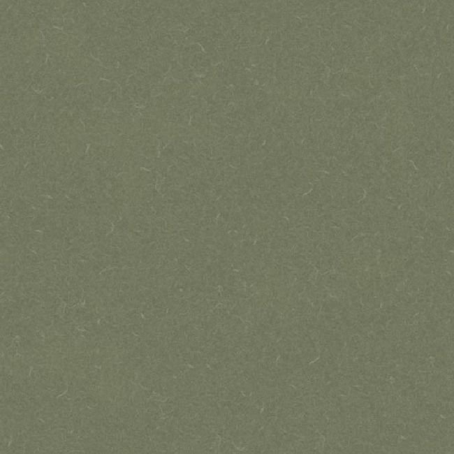 Линолеум Acoustic 7 455-864 Silver Knight Линолеум Acoustic 7 455-864 Silver Knight