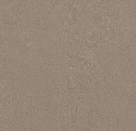 Marmoleum Concrete 3709 silt * мармолеум Конкрит