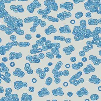 Ковролин Flotex Sottsass Bacteria 990202