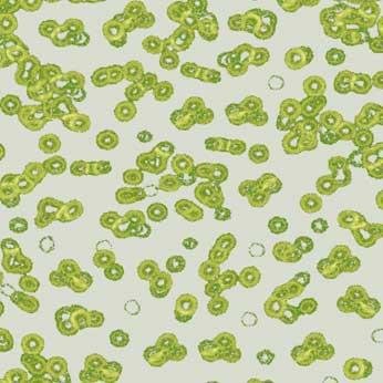 Ковролин Flotex Sottsass Bacteria 990203 Ковролин Flotex Sottsass Bacteria 990203