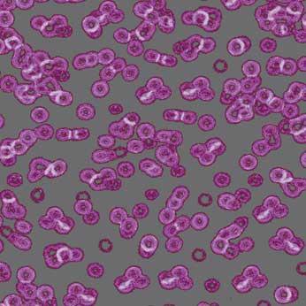 Ковролин Flotex Sottsass Bacteria 990301