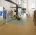 Marmoleum cocoa 3587 curcuma мармолеум кокоа 