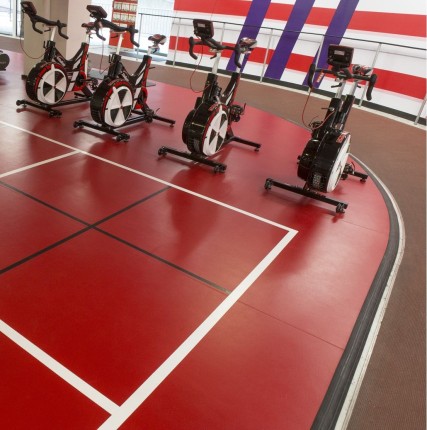 DLV Active Sports Multi AS-135 Red спортивное покрытие Актив спорт мульти красный