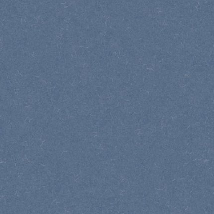 Линолеум Acoustic 7 455-859 Silver Knight