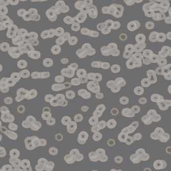 Ковролин Flotex Sottsass Bacteria 990304 Ковролин Flotex Sottsass Bacteria 990304