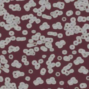 Ковролин Flotex Sottsass Bacteria 990402