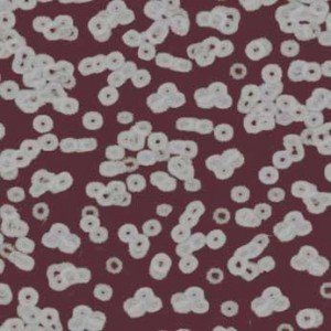Ковролин Flotex Sottsass Bacteria 990402 Ковролин Flotex Sottsass Bacteria 990402
