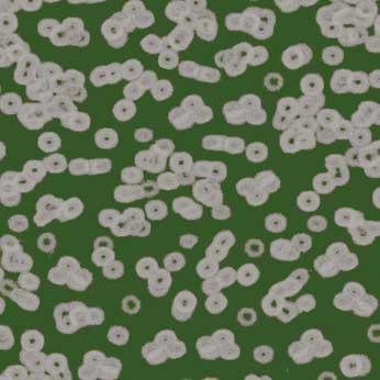 Ковролин Flotex Sottsass Bacteria 990403