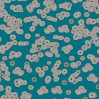Ковролин Flotex Sottsass Bacteria 990404 Ковролин Flotex Sottsass Bacteria 990404