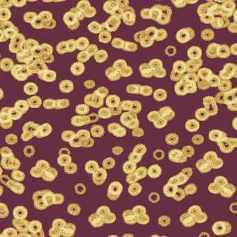 Ковролин Flotex Sottsass Bacteria 990501
