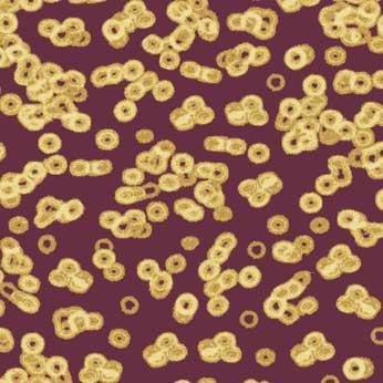 Ковролин Flotex Sottsass Bacteria 990501 Ковролин Flotex Sottsass Bacteria 990501