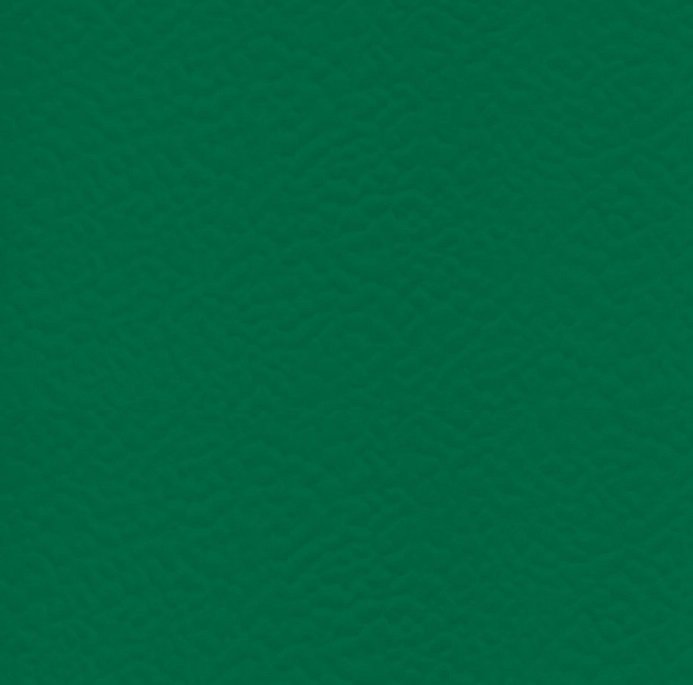 Спортивное покрытие Taraflex Surface 6557 Forest Спортивное покрытие Taraflex Surface 6557 Forest