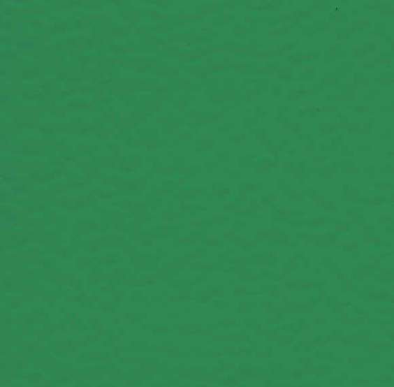 Спортивное покрытие Taraflex Surface 6570 Mint Green Спортивное покрытие Taraflex Surface 6570 Mint Green