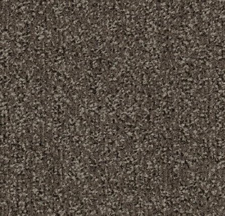 Влаговпитывающая дорожка Coral Classic 4764 taupe