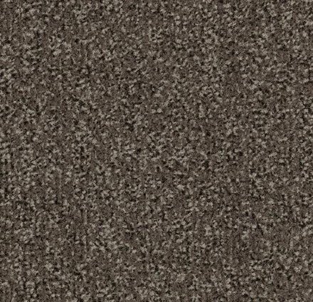 Влаговпитывающая дорожка Coral Classic 4764 taupe