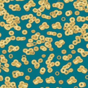 Ковролин Flotex Sottsass Bacteria 990503