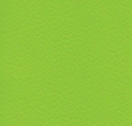 Спортивное покрытие Taraflex Surface 6559 Spring