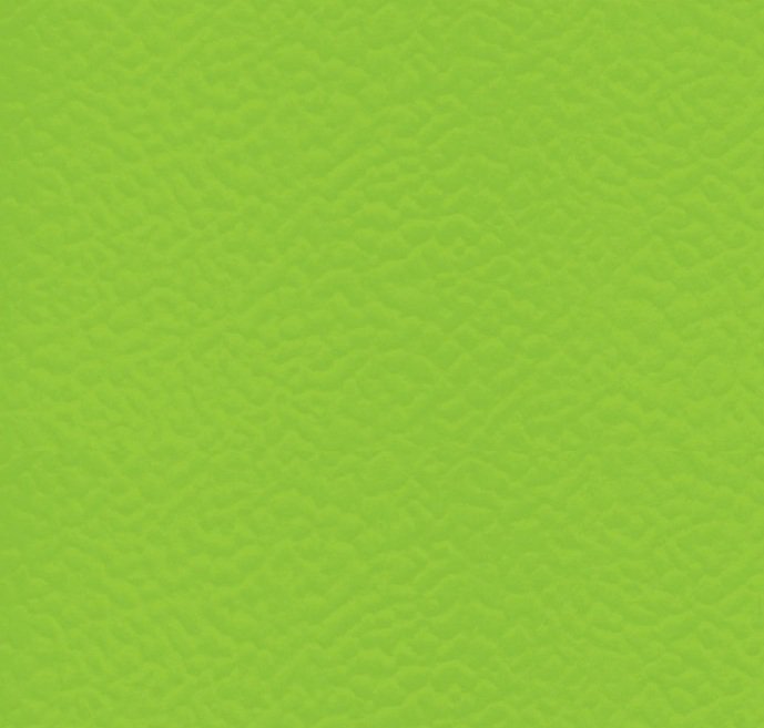 Спортивное покрытие Taraflex Surface 6559 Spring Спортивное покрытие Taraflex Surface 6559 Spring