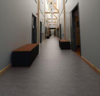 Marmoleum Real 2629 eiger мармолеум натуральный Реал серый