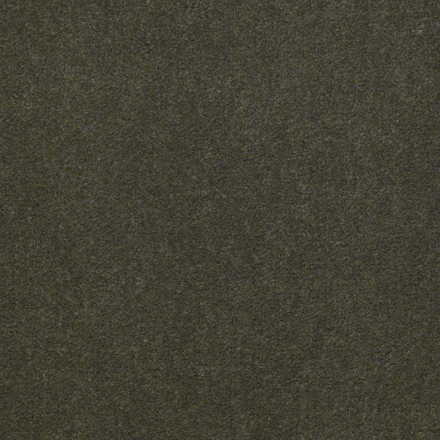 Ковролин EMPHATIC II 30 56314 THYME