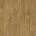 Линолеум PIETRO Havanna OAK 634М