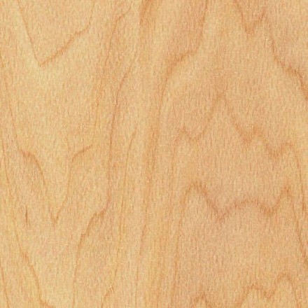 Taraflex PERFORMANCE WOOD 6381 MAPLE Спортивное покрытие Терафлекс Перфоменс