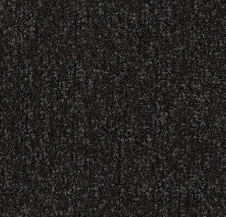 Влаговпитывающая дорожка Coral Classic 4730 raven black