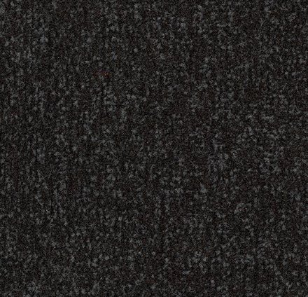Влаговпитывающая дорожка Coral Classic 4730 raven black