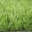 Искусственная трава IT Grass 20 мм 2-х цветная