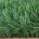 Искусственная трава IT Grass 60 мм 2-х цветная