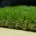 Искусственная трава IT Grass Деко 20 мм 4-х цветная