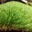 Искусственная трава IT Grass Деко 35 мм 4-х цветная