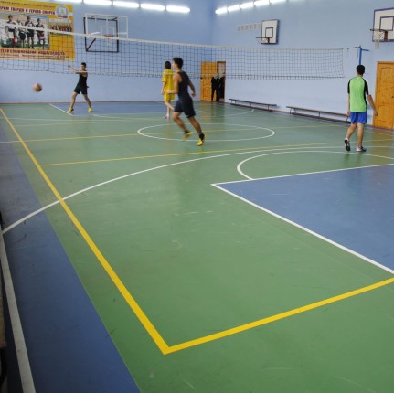 APOLUZA Спортивный линолеум Аполуза 4,5 зелёный