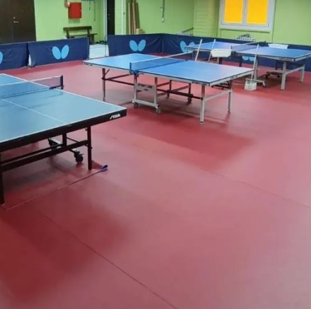 Table Tennis спортивное покрытие для настолького тенниса